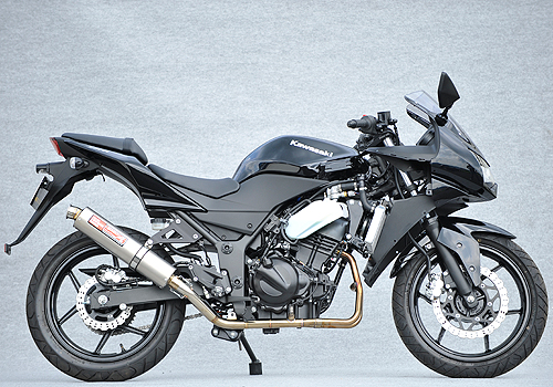 NINJA250R SUS2-1 UP-TYPE